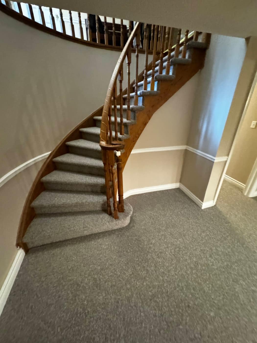 Carpet