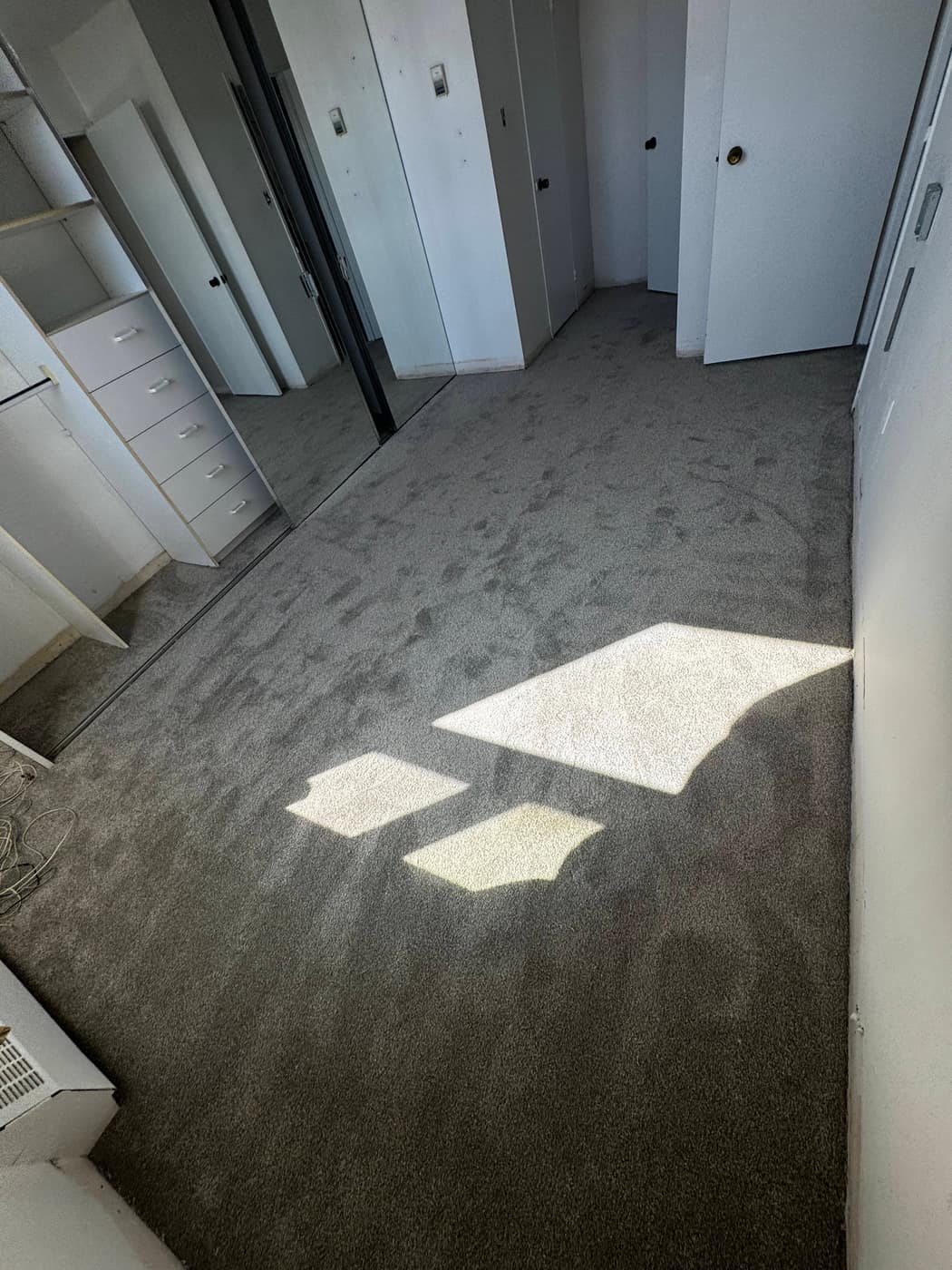 Carpet