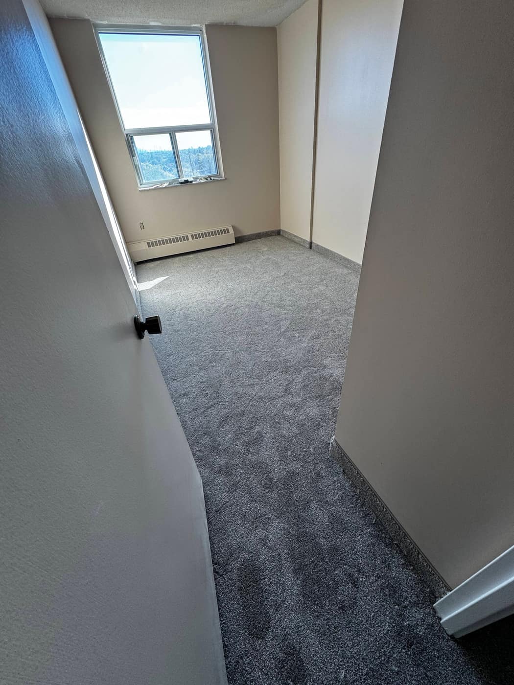 Carpet