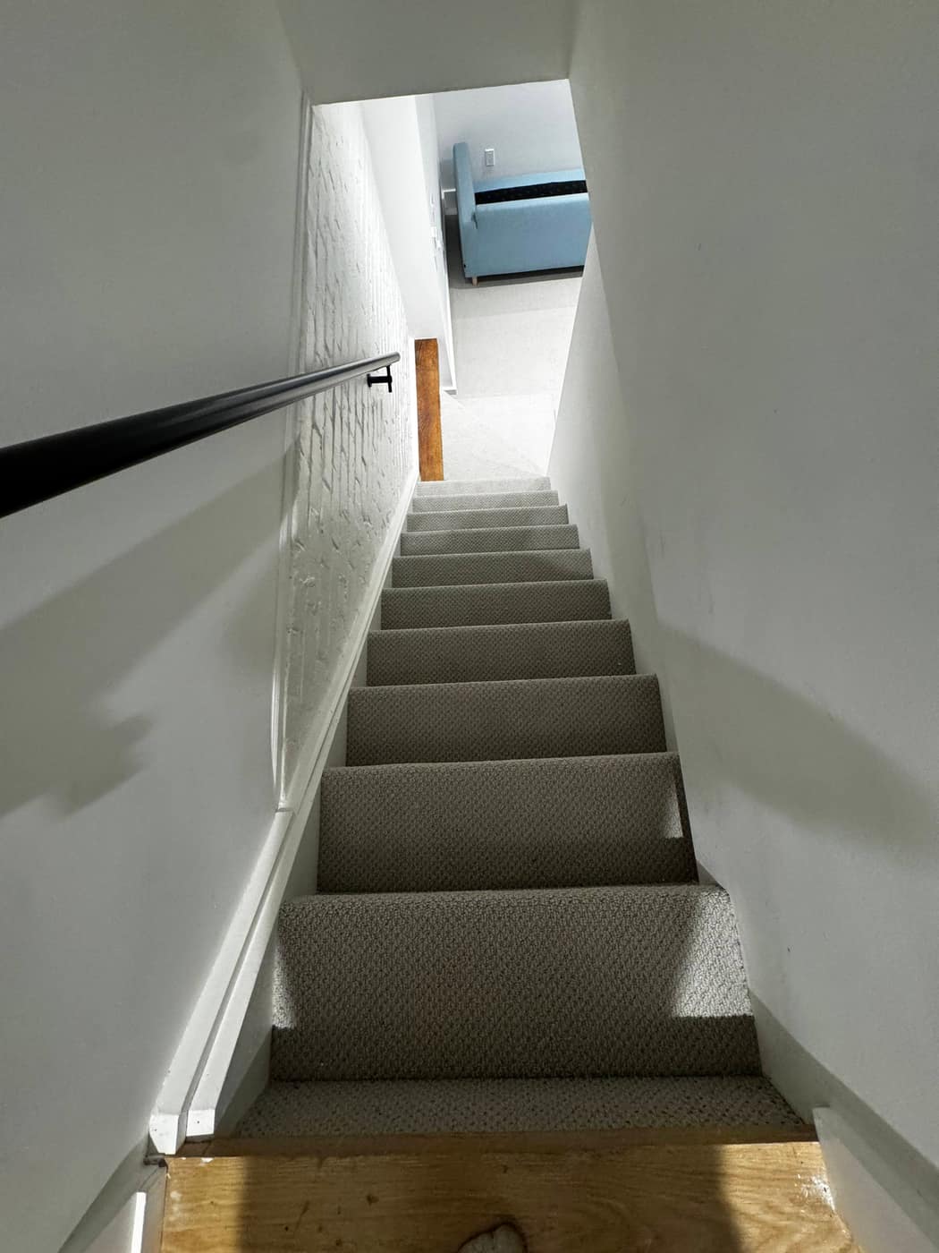 Carpet