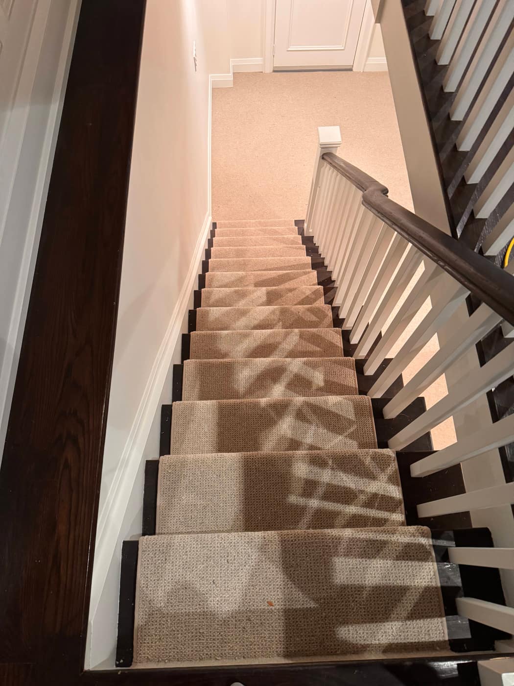 Carpet
